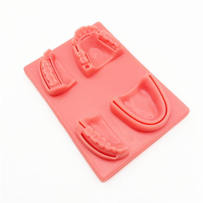 Dental Training pad Silicone Human skin Oral Teeth Gum Suture Dentist Practice Training Model Common Types Of Dental Wounds